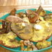 Champignons 2006 